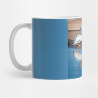 American White Pelican Calmly Watching Mug